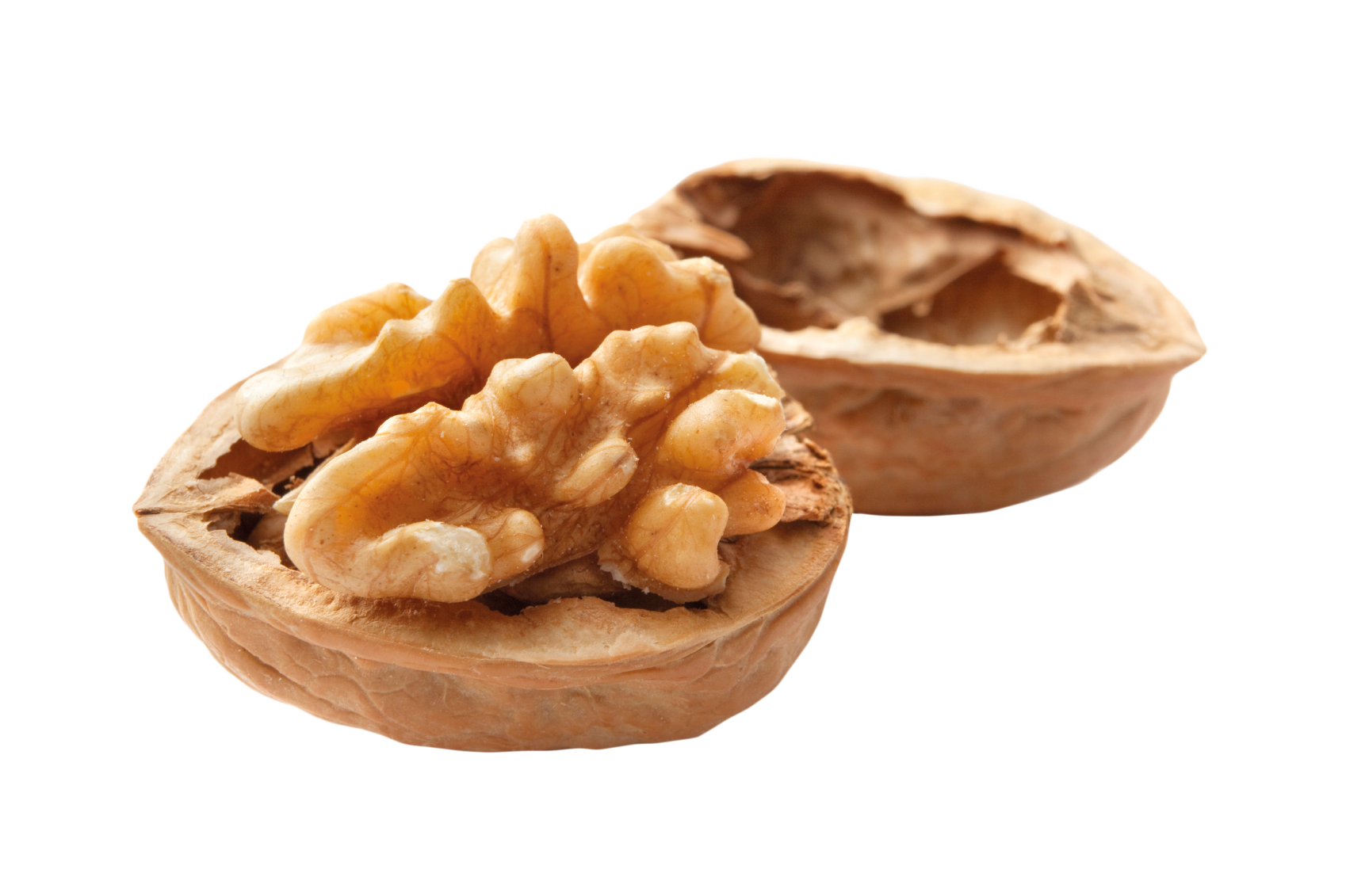 Valnöt